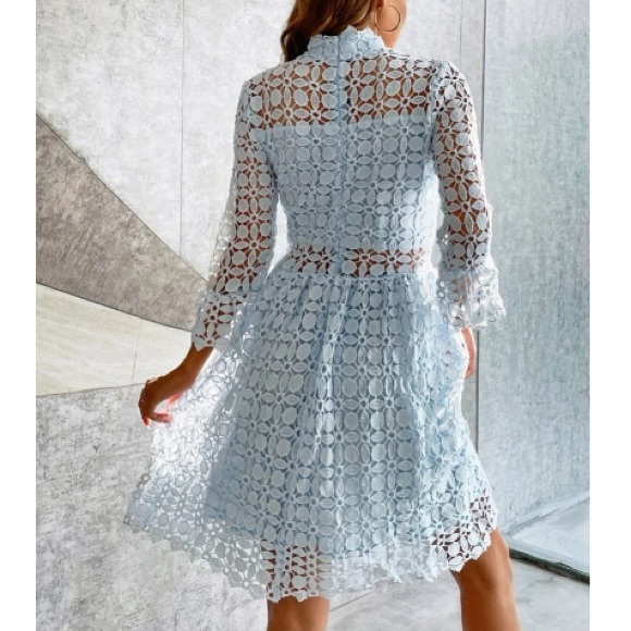 Luxurious mesh insert lace dress - Picture 3 of 7